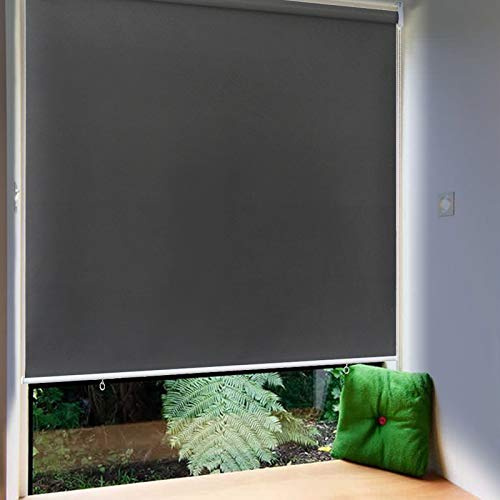 Froadp 100x240cm Tenda a Rullo Esterna, Tenda Avvolgibile Oscurante con Morsetti e Catenella, Privacy Tenda Riflettente con Funzione Termica, Protezione Solare Tenda per Finestre e Porte(Antracite)