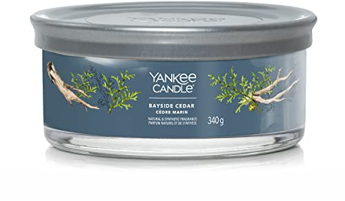 Yankee Candle Signature Scented Candle | Bayside Cedar Multi-Wick Tumbler Candle | Soy Wax Blend Long Burning Candle | Perfect Gifts for Women