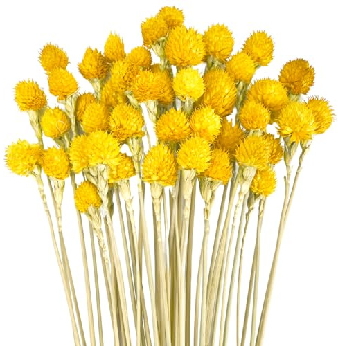 RUGBOL 45 STK. Getrocknete Erdbeerblüten, Natürliche Trockenblumen Deko für DIY Arrangements, Wohnzimmer und Schlafzimmer Dekoration (Gelb)