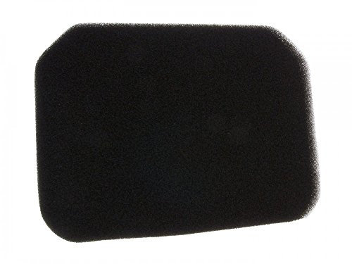 Filtro dell' aria per Burgman 250, 400 2006