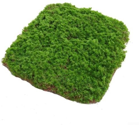 Naturgetreuer Kunstrasen mit Beflockungsdesign, ideal für Zuhause oder Büro, Grün, 50,8 x 50,8 cm