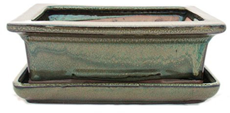 Pot à bonsaï avec soucoupe – Taille 3 – Olive-brun – Rectangulaire – Modèle G29 – L 18 cm – l 13 cm – H 6 cm