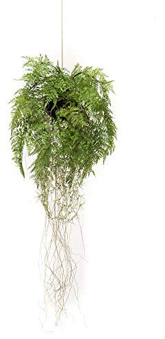 artplants.de Kunst Boston Farn Blumenampel NILO, Erdball, Wurzeln, 70cm, Ø 35cm - Deko Boston Farn - Kunst Schwertfarn