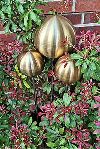 Jürgen Bocker Gartenambiente Rosenkugel 3er Set 15-15-10 cm Edelstahl Gold matt gebürstet mit Stab 80 cm
