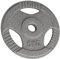 Physionics® Hantelscheiben Set - 1x5/2x5/4x5/6x5/1x10/2x10/4x10/6x10 kg, Gusseisen, mit Griff, 31mm Bohrung, für Langhantel/Kurzhantel - Gewichtsscheiben Guss, Gewichte Scheiben Set (1 x 5kg (5kg))