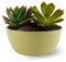 ECOMACETAS FLOWERPOT STORE Maceta Suculentas Grande, Redonda Baja para Plantar Varias Suculentas en una Misma Maceta. De Plástico (1, 25 cm)