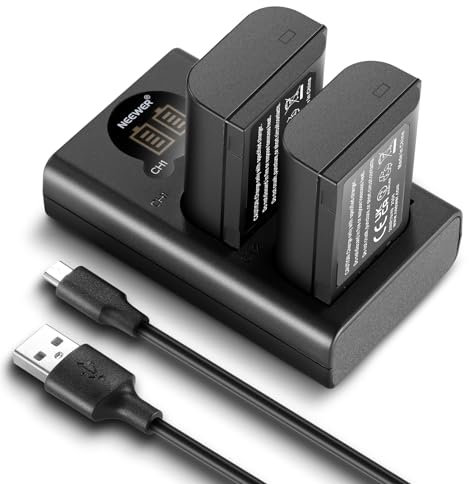 NEEWER DMW-BLK22 Replacement Battery and Charger Set, 2 Pack 2400 mAh Batteries and Type C Dual Channel USB Charger, Compatible with Panasonic Lumix DC-S5 DC-S5 II DC-S5 IIX GH5 II GH6 S5II S5M2 GH5M2
