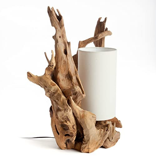 Möbel Bressmer Tischlampe Treibholz BION | Tischleuchte Wurzel Holz Treibholzlampe Höhe 70cm | Wurzellampe - Unikat der Natur