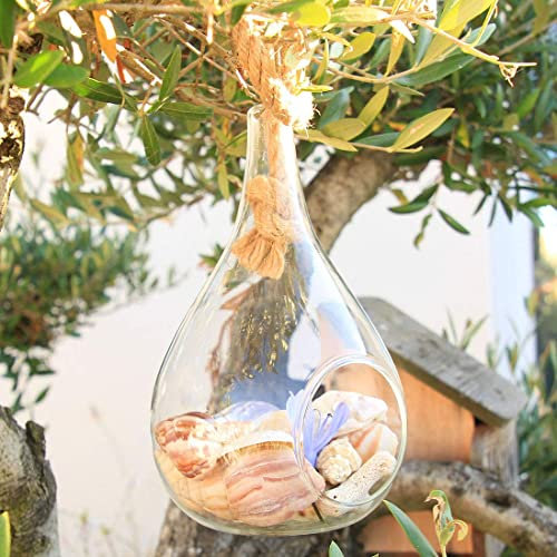 Florero Decorativo, Portavelas, para Colgar, en el Aire, Pedir con Cuerda de Cáñamo, Terrario, para Plantas Pequeñas, Cactus. Forma de Gota de Agua, Decoración del hogar, Jardín, Oficina