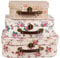 Sass & Belle Vintage Rose Suitcases - Set of 3