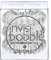 Invisibobble Original Haargummis, crystal clear, 1er Pack, (1x 3 Stück)