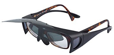 Balzer Polarisationsbrille Put Over