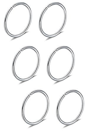 Briana Williams 6pcs Fake Nez Anneau Hoop Septum Tragus Cartilage Boucle D'oreille Hoop Piercing 22G 20G 18G 16G 6/8/10/12mm En Acier Inoxydable Faux Piercing Bijoux