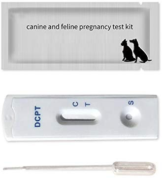 Pet Schwangerschaftstest Kit, Teststreifen, Zuverlässige Und Schnelle Früherkennung Von Schwangerschaft, Hund Frühen Schwangerschaftstests, Katze Schwangerschaft Test Kit