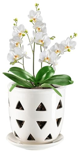 Aulock 15,2 cm Keramik-Orchideentopf mit Löchern, dekorativer dreieckiger Keramik-Hohltopf, hervorragende Luftzirkulation, Orchideen-Pflanzgefäß mit Untersetzer für Dendrobium Oncidium Cattleya