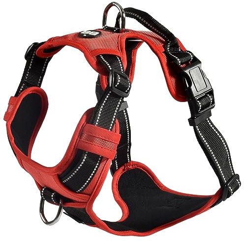 Bobby Rando Walk - Harnais pour Chien, Moyen Petit Grand en Nylon, Sûr, Confortable, Réfléchissant, Ajustable, Rouge, L/46-70x2,5 CM