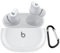 KANOYO Cover Compatible with Beats Studio Buds +/Buds,Full Body Protection Case,Supports Wireless Charging,Shock Resistant with Beats Studio Buds +/Buds Case,With Carabiner (Transparent)