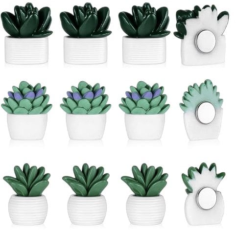 Cute Succulent Fridge Magnet, 12 Pcs 3D Potted Plant Magnet Stickers, Mini Succulent Magnets for Locker Refrigerator Whiteboard, Creative Decorative Magnets for Kitchen Office DIY Home Decors