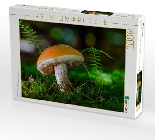 CALVENDO Puzzle Birkenpilz (Leccinum scabrum) | 1000 Teile Lege-Größe 64 x 48 cm Foto-Puzzle für glückliche Stunden