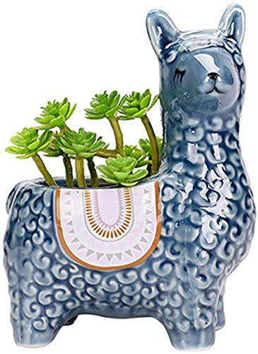 YRHH Keramik Alpaka Blumentöpfe Indoor Home Haus Dekorativer Sukkulententopf, Kaktuspflanzgefäße Keramik Bonsai Sukkulenten Übertopf Vase Für Mini Bonsai Sukkulenten Kaktus-Blue