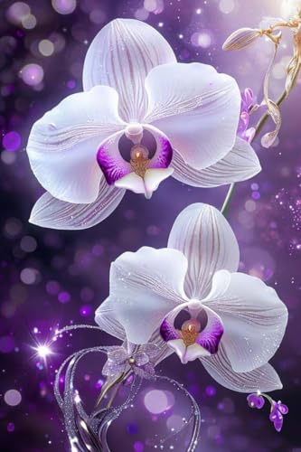 Phalaenopsis orchidee Diamond Painting Erwachsene 30x40cm, DIY 5D Diamant Painting Bilder Malen Nach Zahlen Set, Diamond Art Full Drill Kinder Diamant Malerei Kunst Basteln für Home Wand Dekor Y-179