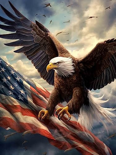 Hoobee 5D Diamond Painting Adler, Diamond Painting Bilder Vogel, Diamond Painting Erwachsene Tier, Vollbohrer Stickerei Kreuzstich Kunst Handwerk für Zuhause Wanddekoration (30×40 cm)-115