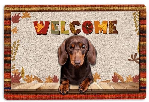 Dachshund Door Mat Dachshund Dog Welcome Fall Autumn Pumpkin Spice Maple Leaf Welcome Non-Slip Mats Funny Doormat Bathroom Kitchen Front Porch Rugs Entrance 16 * 24in/40 * 60cm