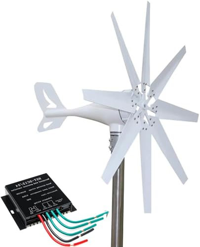 Generatore a Turbina, 12v 24V 48v 10000W Kit Generatore Eolico a Turbina, 8 Pala Eolica, Turbina Eolica Verticale 2 m/s velocità, Adatto per l'alimentazione Domestica e Industriale,24v