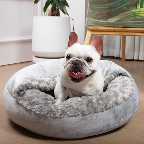 Waschbares Hundebett mit Decke, abnehmbarer Bezug, Höhle für kleine Katzen, Haustierbett für Welpen, Donuts, rund, Plüsch, gemütlich, rutschfeste Unterseite, Grau, 58 x 58 x 17 cm