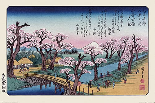Pyramid Hiroshige Mount Fuji Koganei Bridge Unisex Poster Mehrfarbig Papier