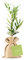 Pack de 12 Olivos Olea Europaea Arbequina en saco de saco de yute con tarjeta con instrucciones de siembra - Árboles pequeños naturales para plantar - Regalos para invitados (Tarjeta Stándard)