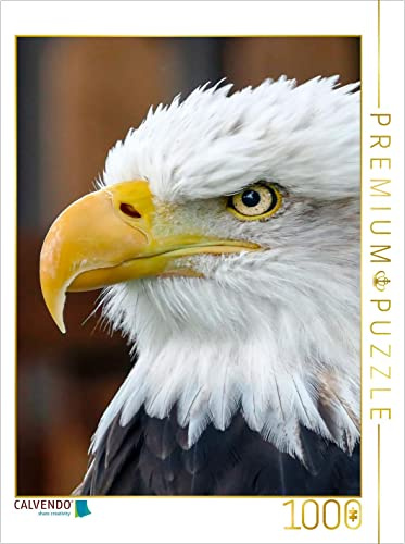 CALVENDO Puzzle Adler | 1000 Teile Lege-Größe 48 x 64 cm Foto-Puzzle für glückliche Stunden