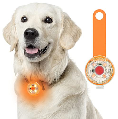 Fttouuy Luce lampeggiante a LED di sicurezza per cani Gatti - Luci LED ricaricabili USB Targhetta per cani, 3 modalità lampeggianti Luci di sicurezza per animali domestici impermeabili