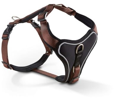 Wolters | Geschirr Professional Comfort in Tabac/Schwarz | Brustumfang 45 - 50 cm