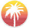 2 x 10cm Palm Tree Vinyl Sticker Decal Laptop Car Bike Tablet Travel Surf #9013 (10cm Wide x 10cm High)