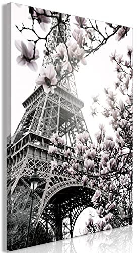decomonkey Bilder Eiffelturm 40x60 cm 1 Teilig Leinwandbilder Bild auf Leinwand Vlies Wandbild Kunstdruck Wanddeko Wand Wohnzimmer Wanddekoration Deko Paris Magnolie Blumen