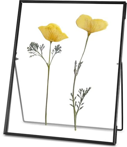 REDHUGO Gepresste Blumenrahmen, Glas-Schwebeframe zur Anzeige von getrockneten Pflanzenspezimenbildern, Hängender Messingbilderrahmen mit Kette, Doppeltes klares Glas, Vintage-Wanddekoration, Rechteck