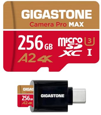 [5 Anni Recupero Dati Gratuito] GIGASTONE 256GB Scheda MicroSD con Lettore di Scheda USB3.2 Tipo C, Camera Pro MAX, Scheda di Memoria A2 V30 MicroSDXC, 4K UHD Video, Fino a 130/85 MB/s con Adattatore