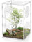 Springspinnengehege, 11.8''x7.8''x6'' Springspinnengehege Zubehör, Tarantula Gehege Zubehör mit Luftlöchern (11.8''x7.8''x6'')