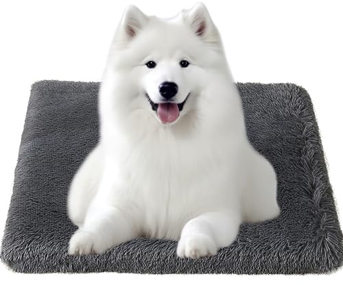 Bizcasa Hundebett, 120x80x8cm Hundekissen, Hundebett Grosse Hunde Waschbar, Plüsch Hundekissen, Flauschige Hundematte, rutschfeste Unterseite
