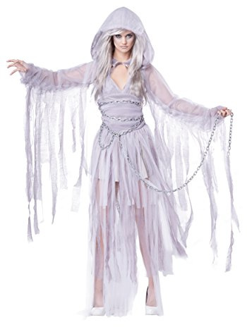 California Costumes 1327 Haunting Beauty Geist Spirit Ghost Kostüm für Erwachsene, Einfarbig, Silber, L