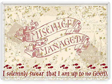 Silver Buffalo Harry Potter Mischief Bilderrahmen, 10 x 15 cm, Mehrfarbig