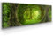 Wunderschönes Leinwandbild Wald Panorama 150x50cm – Ein einzigartiges Foto – Wie gemalt - als Wandbild. Eine schöne Wanddeko für Wohnzimmer & Schlafzimmer. Aufgespannt auf Holzrahmen