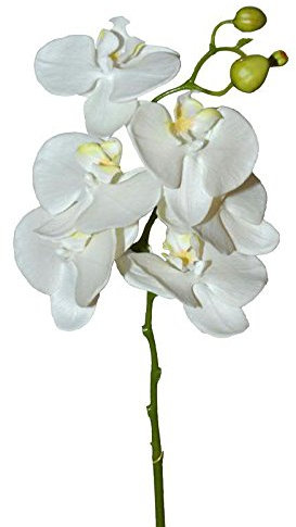 Orchidee Dekozweig Künstlich - Weiße Blüten - Hochwertig & Naturgetreu - Phalaenopsis/Orchidee - Länge: 60cm - Einzelblume/Seidenblume/Tischdekoration Hochzeit/Hochzeitsdeko