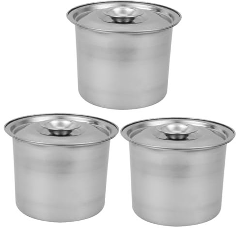 Alipis 6 Piezas caja de helado de acero inoxidable envases de helado reutilizables contenedor de helado recipientes para helado casero guardián de almacenamiento para la cocina Silver