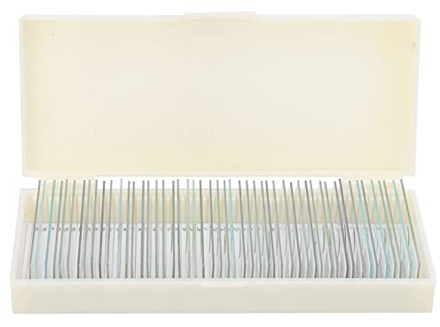 Mikroskop Präparate Glasplättchen 50 Stück 4x4 cm Objektträger mit Deckglas - Mikrobiologische Proben, Aufbewahrungsbox, für Labor & Bildung