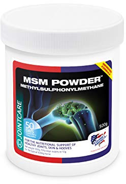 Equine America MSM: 454g