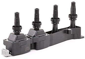 Delphi GN10319-12B1 Ignition Coil