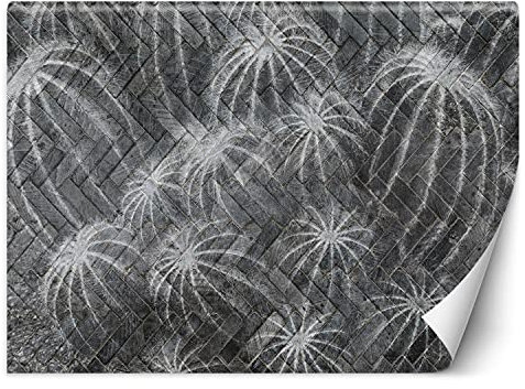 Feeby Fotomurali Astratto Cactus Natura 368x254 cm grigio Fotografica In Tessuto Non Tessuto Per Soggiorno Camera Da Letto Bagno Cucina Sala