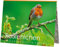 Rannenberg & Friends Postkartenbuch Rotkehlchen, 15 Karten, Vogel Postkartenbücher Ansichtskarte Postkarte Gartenvogel